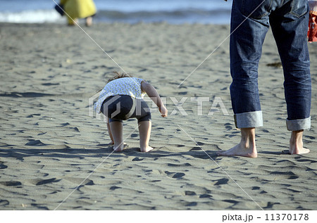 海岸の親子 11370178