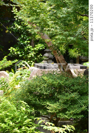 冥土通いの井戸(六道珍皇寺/京都市東山区大和大路通四条下ル4丁目小松町595) 冥土通いの井戸(六道珍皇寺/京都市東山区大和大路通四条下ル4丁目小松町595) 11370200