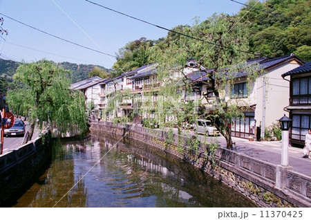 大谿川と町家とヤナギ(兵庫県城崎温泉) 大谿川と町家とヤナギ(兵庫県城崎温泉) 11370425