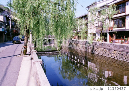 大谿川と町家とヤナギ（兵庫県城崎温泉） 11370427