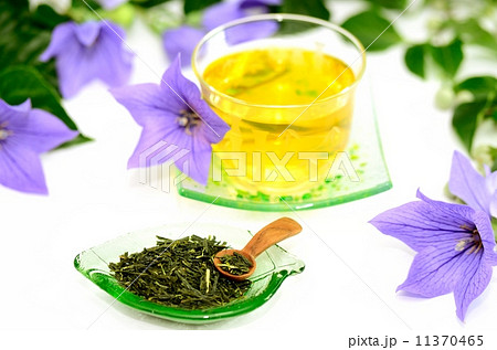 お茶 お茶 11370465