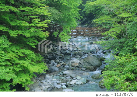 徳島県:奥祖谷のかずら橋 徳島県:奥祖谷のかずら橋 11370770