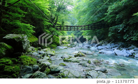 徳島県：奥祖谷のかずら橋 11370775