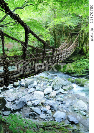 徳島県：奥祖谷のかずら橋 11370780