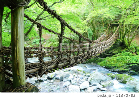 徳島県：奥祖谷のかずら橋 11370782