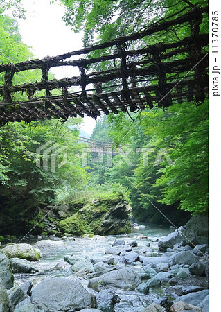 徳島県：奥祖谷のかずら橋 11370786