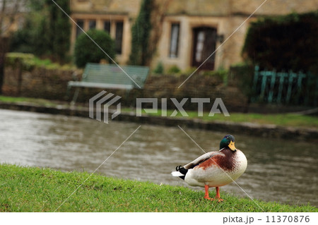 ボートン・オン・ザ・ウォーター　イギリス 11370876