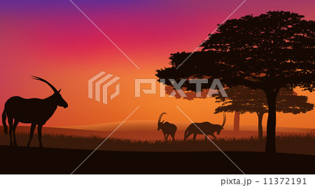 african savannah with grazing antelopes sunset landscape - wildlife scene vector 11372191