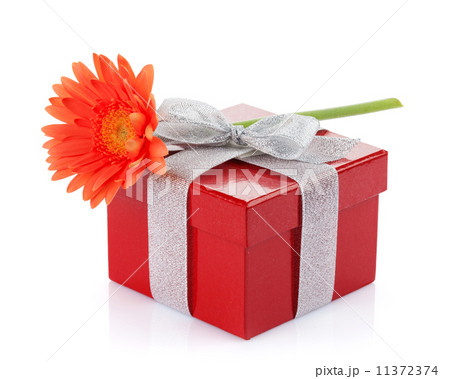 Orange gerbera flower over gift box 11372374