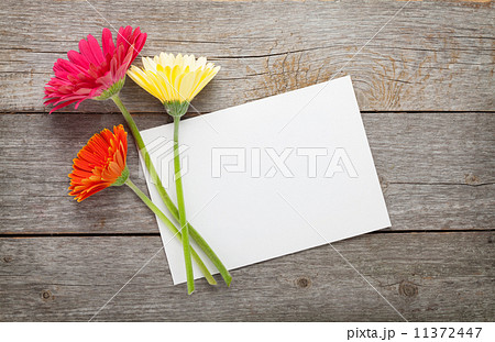 Three colorful gerbera flowers and blank greeting card Three colorful gerbera flowers and blank greeting card 11372447