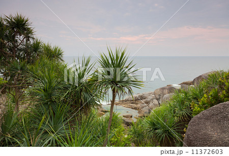 Tropical beach at sunrise, Andamandsky sea, Thailand 11372603