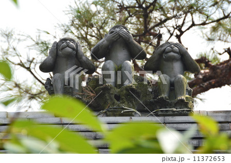 三猿の置き物(金剛寺(八坂庚申堂)/京都市東山区金園町) 三猿の置き物(金剛寺(八坂庚申堂)/京都市東山区金園町) 11372653