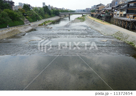 夏の鴨川(京都市下京区) 夏の鴨川(京都市下京区) 11372654