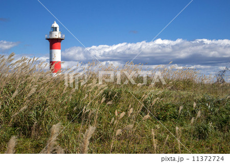 石狩灯台 11372724