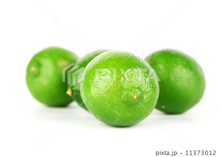 lime pile lime pile 11373012