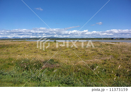 はまなすの丘公園 はまなすの丘公園 11373159