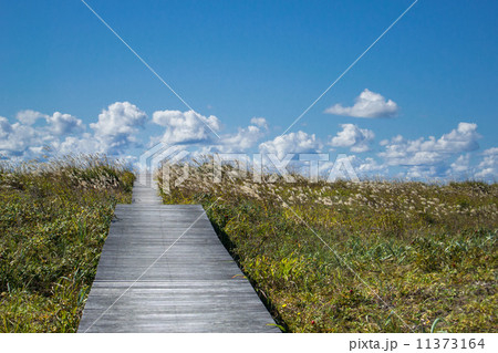 はまなすの丘公園 11373164