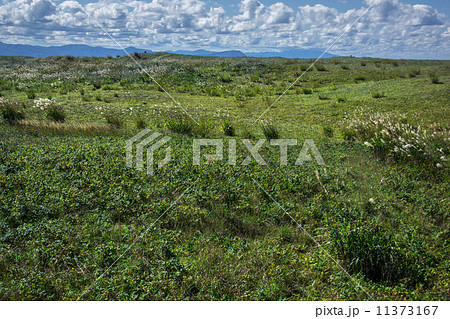 はまなすの丘公園 はまなすの丘公園 11373167