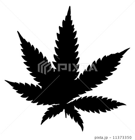 cannabis 11373350
