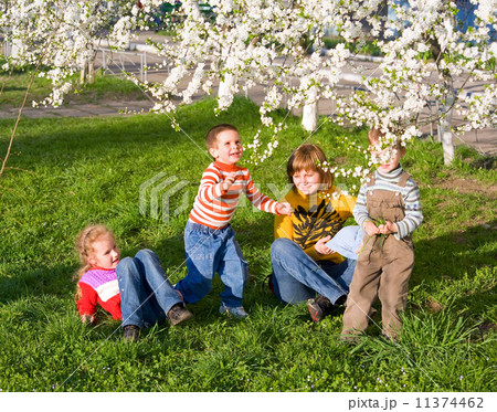 Family in spring park Family in spring park 11374462