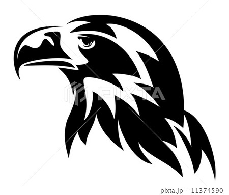 stellers's eagle head design - black and white vector emblem stellers's eagle head design - black and white vector emblem 11374590