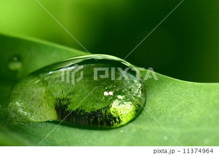natural waterdrop natural waterdrop 11374964