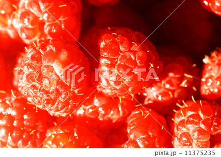 raspberry raspberry 11375235