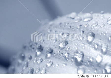 water 11375614
