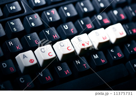 keyboard access  key 11375731