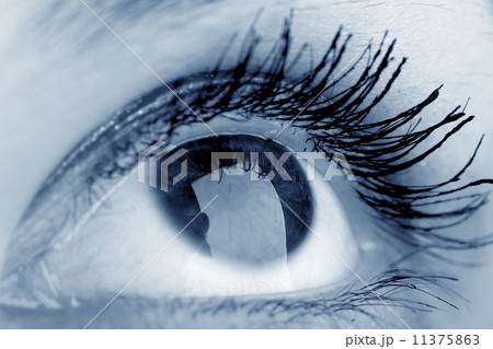 eye eye 11375863