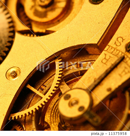 golden gear 11375958