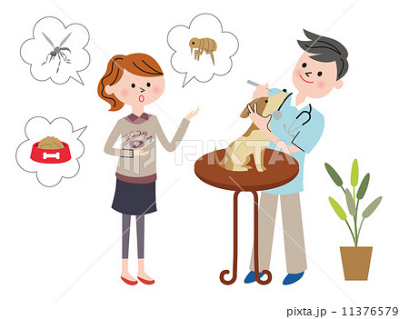 動物病院　相談 11376579