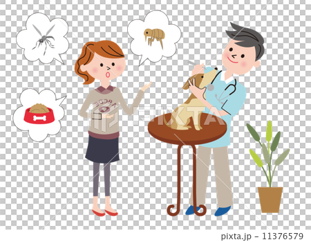 動物病院　相談 11376579