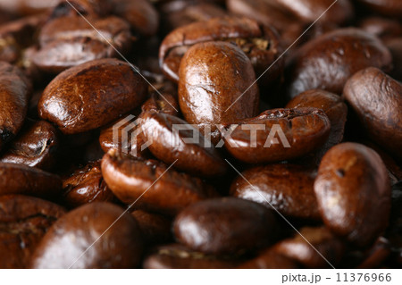 aroma bean 11376966