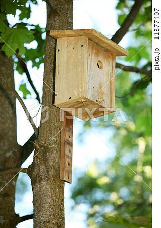 starling house 11377407