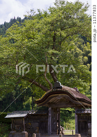 一乗谷　朝倉氏遺跡 11377833