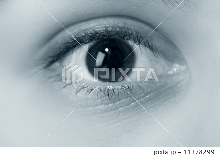 eye 11378299