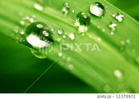 big water drop big water drop 11378972