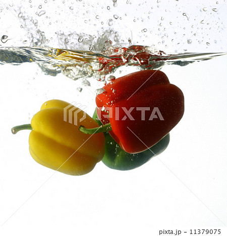 paprica splash 11379075