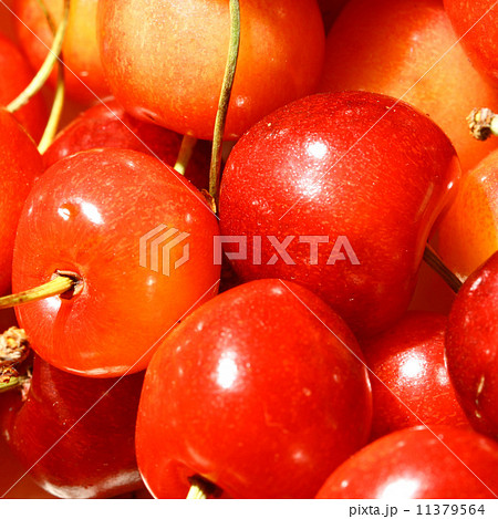 sweet cherry 11379564