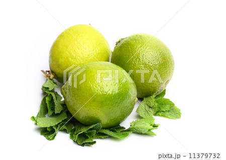 lime and mint 11379732