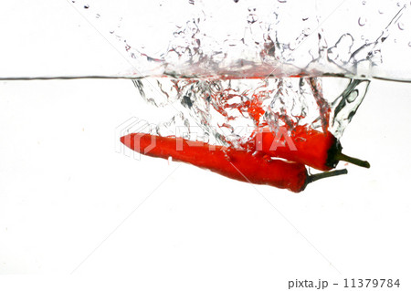 chili pepper cook 11379784