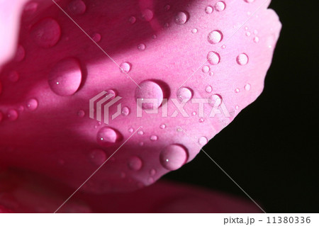 natural waterdrop natural waterdrop 11380336