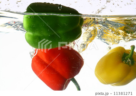 paprica splash 11381271