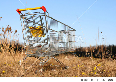 go shoping cart 11381306