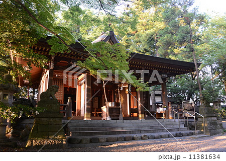 武蔵阿蘇神社 11381634