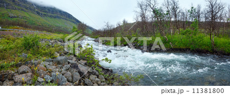 Summer river panorama (Norway). 11381800