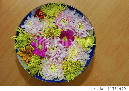 Flowers in bowl 11381990
