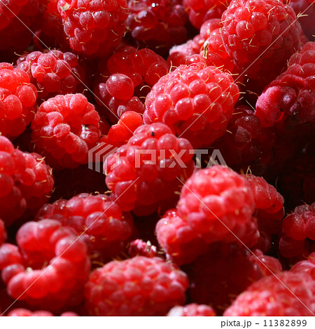 raspberry background raspberry background 11382899