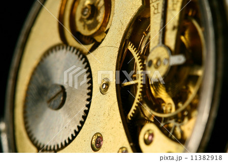 golden gear 11382918